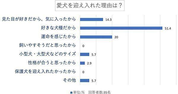 愛犬を迎え入れた理由は?