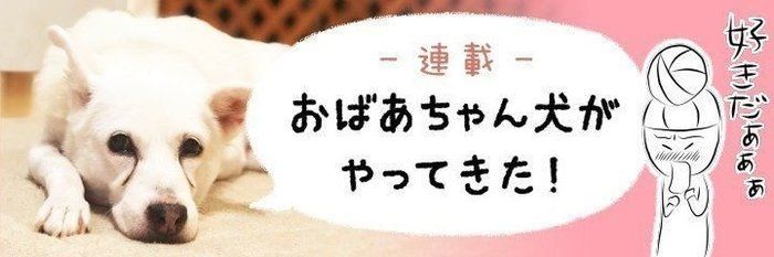 いぬのきもちweb Magazine もっと犬が好きになる