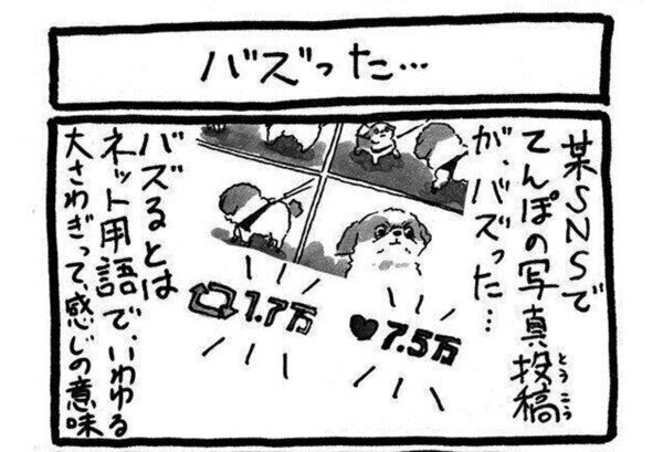 いぬのきもちWEB MAGAZINEの連載マンガ「シーズーの犬てんぽ」