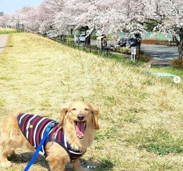 お出かけを楽しむ伶音ちゃん