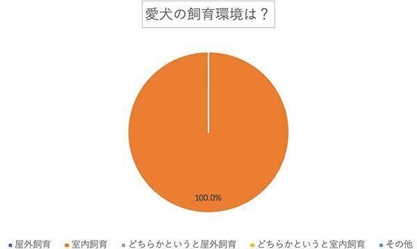 愛犬の飼育環境は?