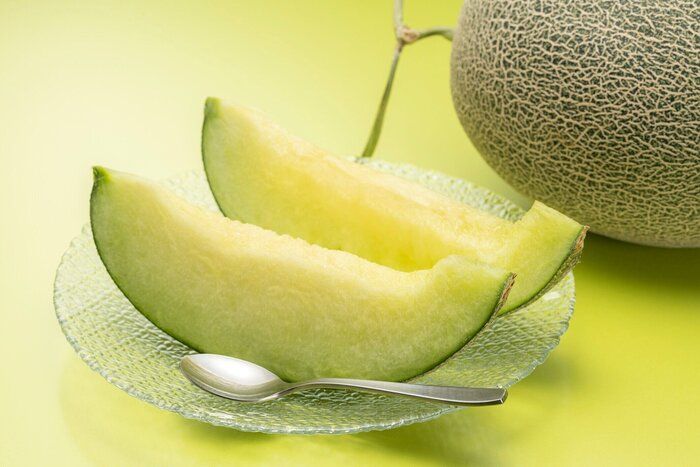 獣医師監修 犬にメロンを与えるときは注意が必要 与えるメリットとデメリットを解説 いぬのきもちweb Magazine