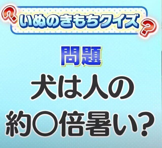 いぬのきもち塾_【犬の熱中症対策01】