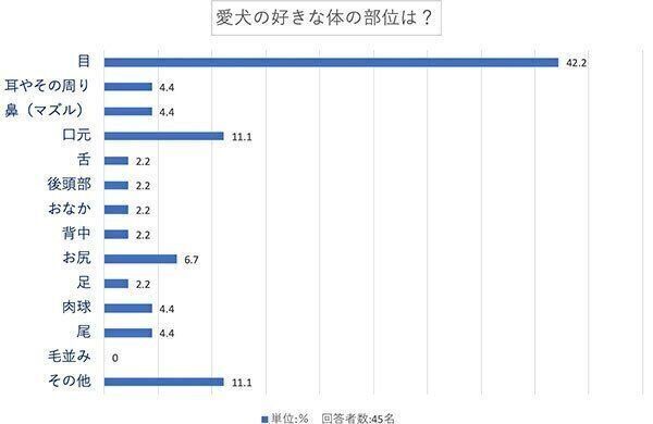 愛犬の好きな体の部位は?