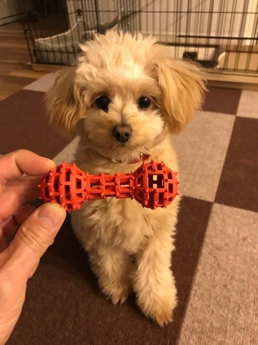 ミックス