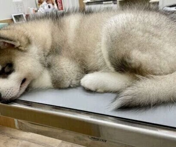 5r7pjjyhpk02pm 5r7pjjyhpk02pm