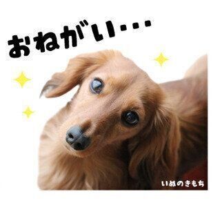 ユリアちゃんのスタンプ