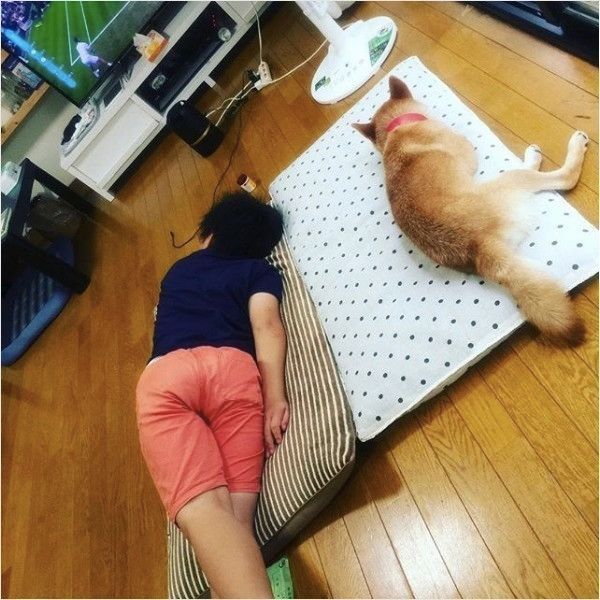 サスケくん