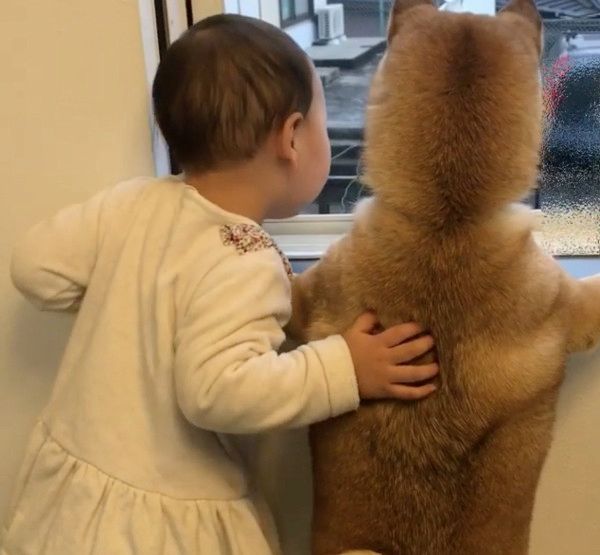 番犬をする犬