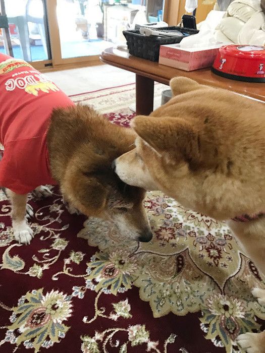 さっちゃん大丈夫?