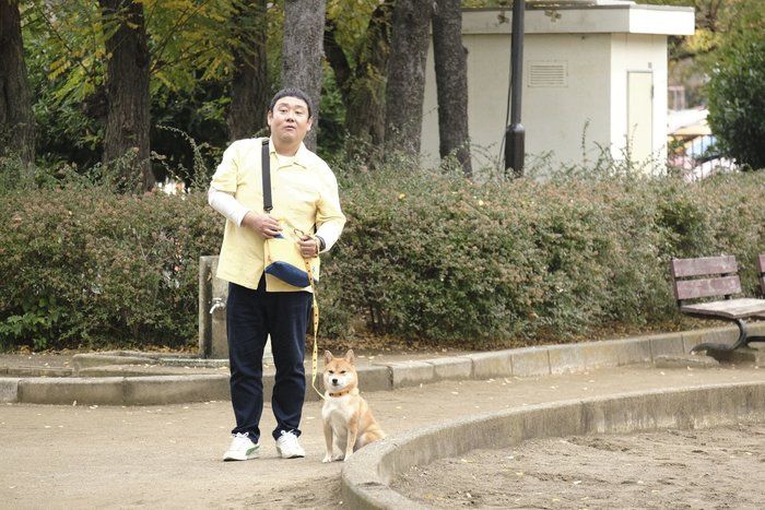 柴公園