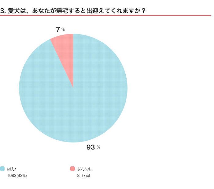 いぬのきもちWEB MAGAZINEアンケート いぬのコト360度ミニ調査