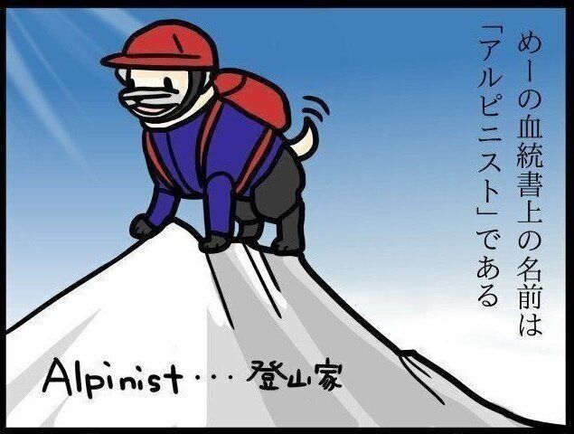 【連載】パグ犬めー vol.85