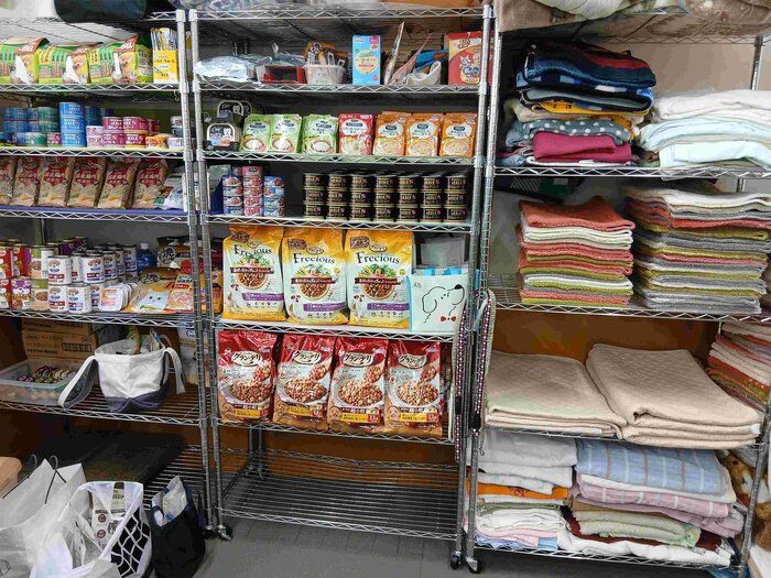 お預かりしている犬猫に合わせたフードやお世話グッズ