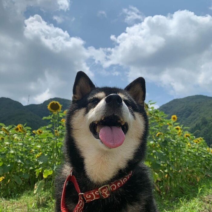 ひめちゃん