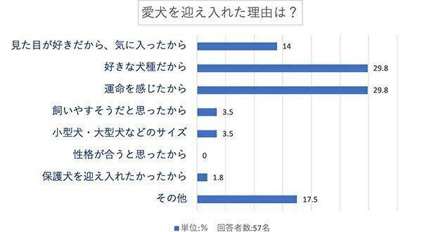 愛犬を迎え入れた理由は?