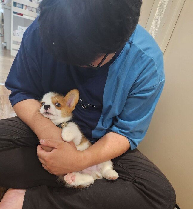 家にお迎えしてからのうにくん