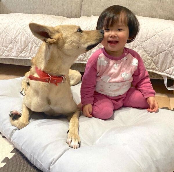 お子さんを見つめるりくちゃん