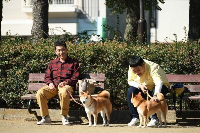 「柴公園」