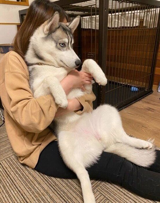 抱っこしてもらうロッカちゃん