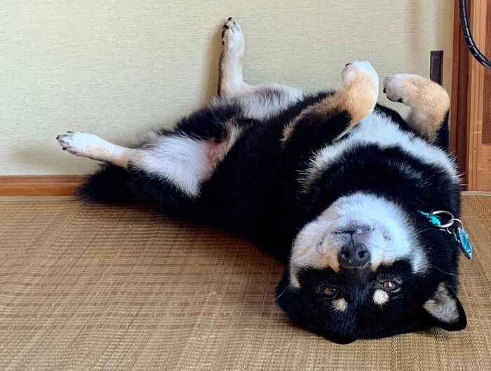 10才11カ月のころに撮影した慧沼くん