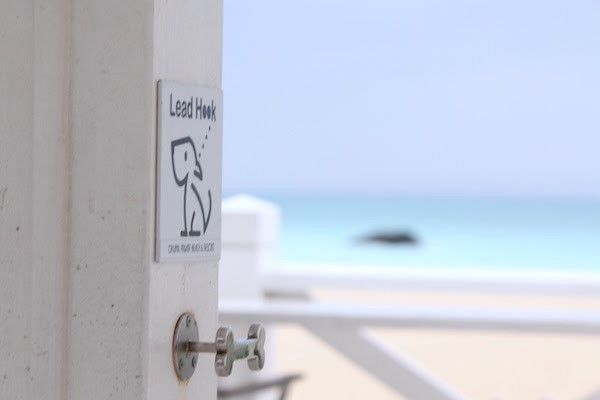 JALワンワンJET沖縄