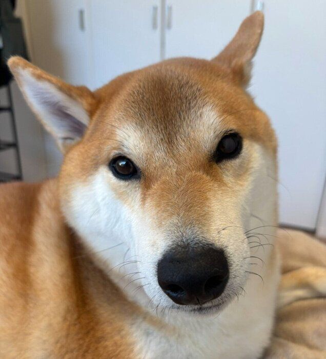 �Ť���˷�⡼�ɤΥ쥪�󤯤�