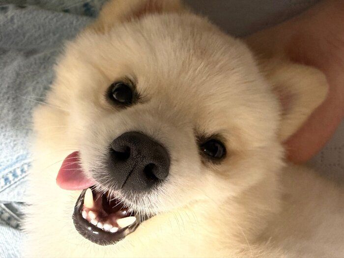 かわいい表情を見せるこうしろうくん