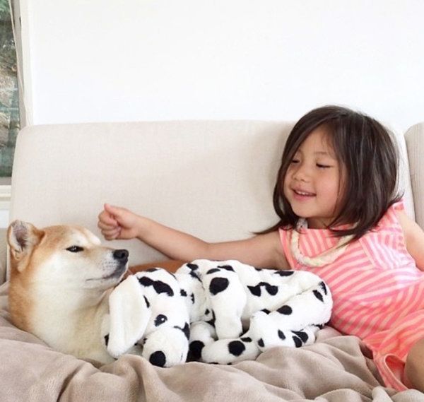 子どもとまったりする柴犬のリリコちゃん