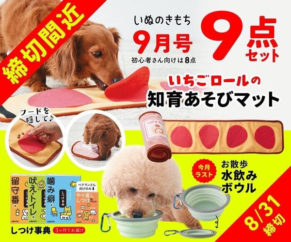 5r7pjjyhpk02pm 5r7pjjyhpk02pm