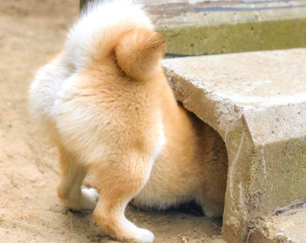 おしりも可愛いそらくん