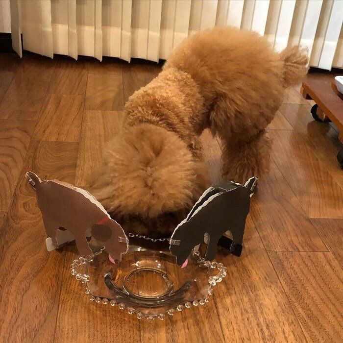 プードルモチーフのペーパー加湿器