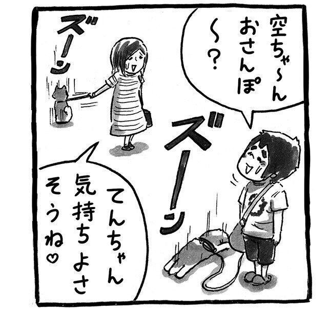 道端に留まり続ける犬たち それは俺たちの共通点 連載 シーズー犬のてんぽ 第149回 いぬのきもちweb Magazine