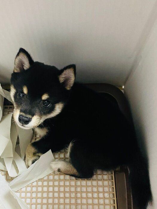 resized_dfcfd5fb-4a63-448c-