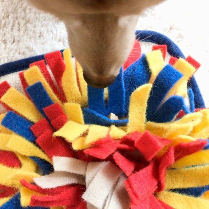 おやつ見つけた!