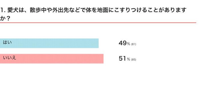 愛犬は、散歩中や外出先などで体を地面にこすりつけることがある？