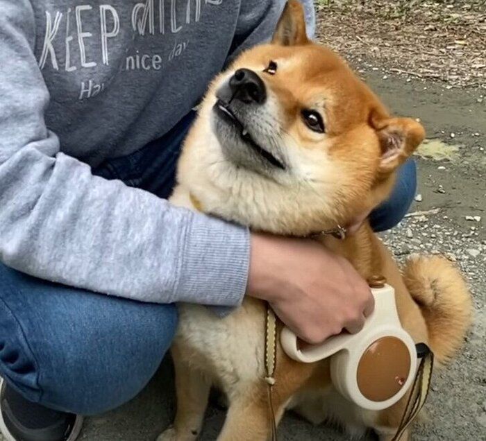 散歩