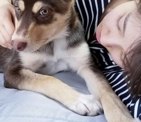 寄り添う犬