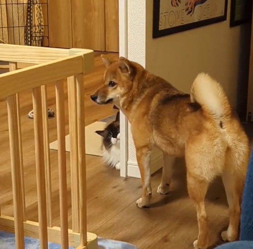 オーダーメイド】ペットの写真 ネックレス｜愛犬・愛猫