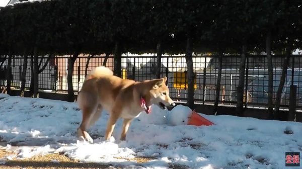 雪だるま