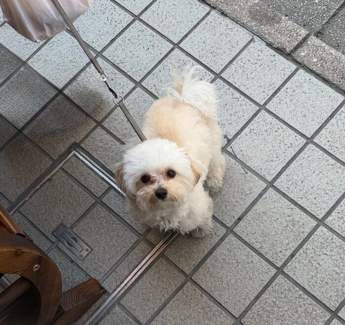 お出かけ中のむぎくんの様子