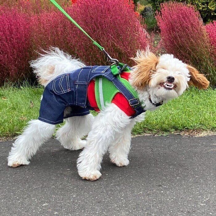 こうたちゃん