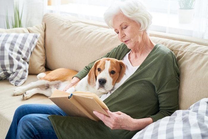 おばあさんと犬