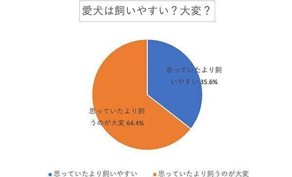 愛犬は飼いやすい? 大変?