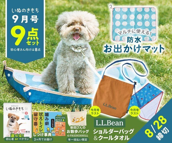 いぬのきもち(2020.3〜2022.2) 61Ey3CgmfVL.jpg