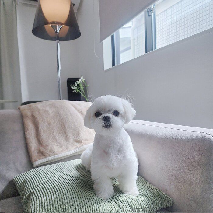 “やさしい目”が印象的な1枚