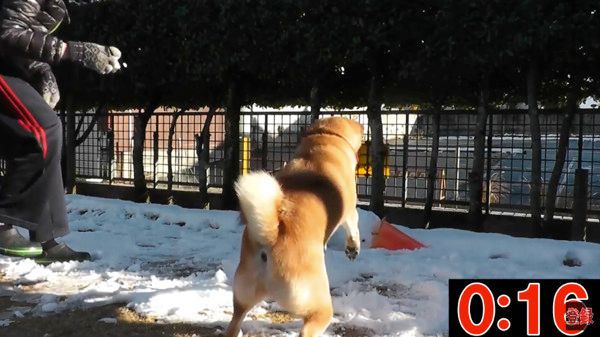 雪だるま