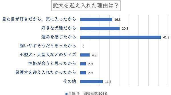 愛犬を迎え入れた理由は?