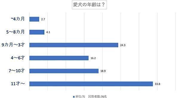 愛犬の年齢は?