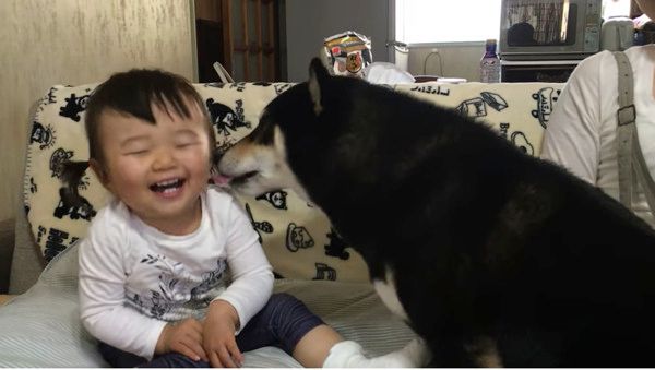 女の子と柴犬